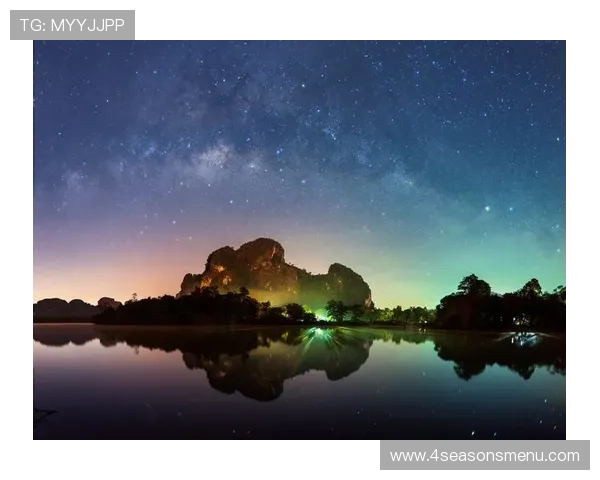 星空官方网站登录入口最新指南，轻松访问您的账号无需烦恼