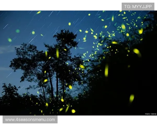 星空足球场：夜幕降临时的星光点缀，为运动场带来独特的视觉体验与情感共鸣