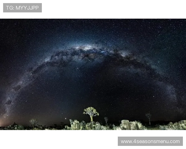 苹果手机用户下载安装星空体育app的完整指南与注意事项