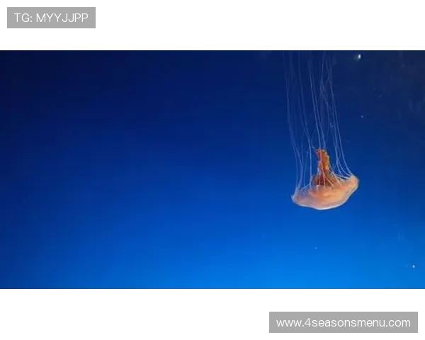 星空体育入口官网安全登录流程详解，保障您的账户信息安全