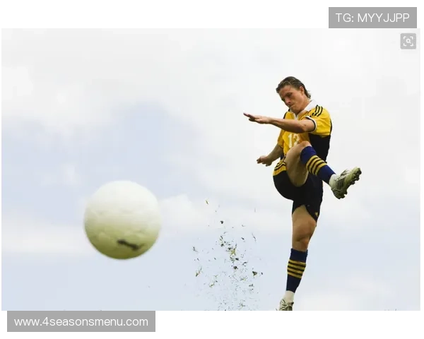 乐动体育官网入口安全登录秘诀:保护个人信息的实用技巧与建议