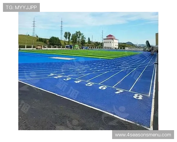 星空体育中文站：详细介绍各种体育运动规则和技巧，新手也能快速掌握运动知识