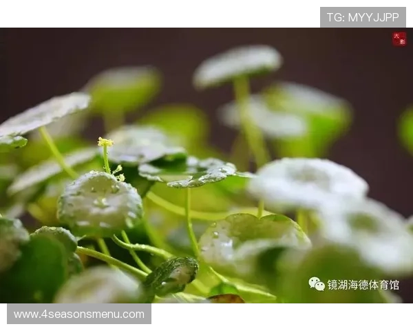 星空足球场：夜晚星空下的创意足球场，点亮都市夜空的绿色能量，成为全民健身的新宠儿，激发大众运动热情