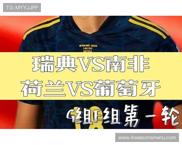 2026年世界杯荷兰对瑞典比赛签证办理流程与注意事项详解